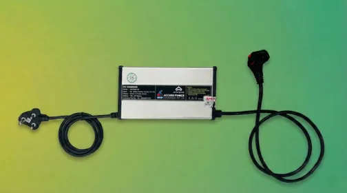 Use the Ampere authorized charger only to
                        charge your Ampere vehicle